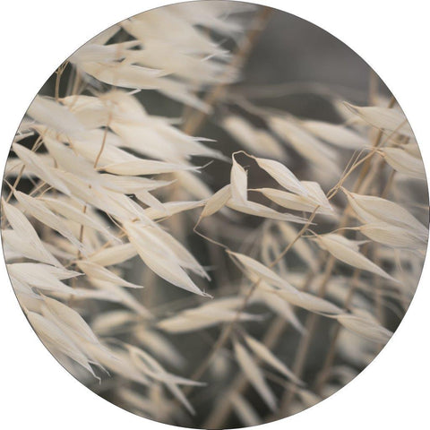 Mellow Grasses 4 | Circle Art