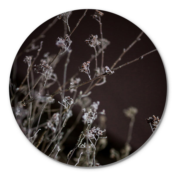 Mellow Grasses 6 | Circle Art