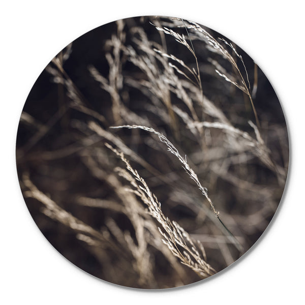 Mellow Grasses 7 | Circle Art