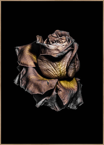 Metallic Rose | Poster