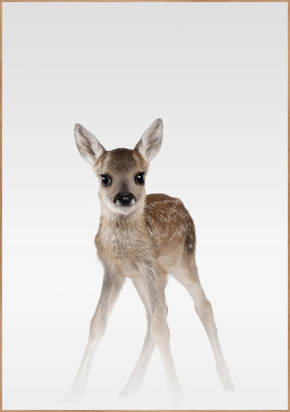 Misty Deer | POSTER BOARD