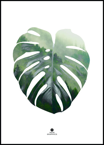 Monstera Leaf | POSTER BOARD