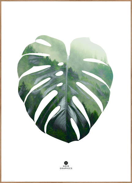 Monstera Leaf | Plakatbræt