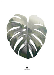 Monstera Leaf | POSTER