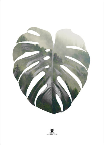 Monstera Leaf | PLAKAT