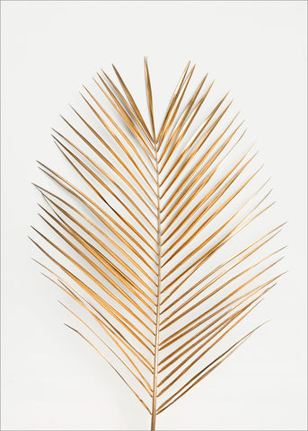 Palm Leaf Gold | Poster