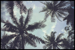 Palm Trees 2 | Poster board