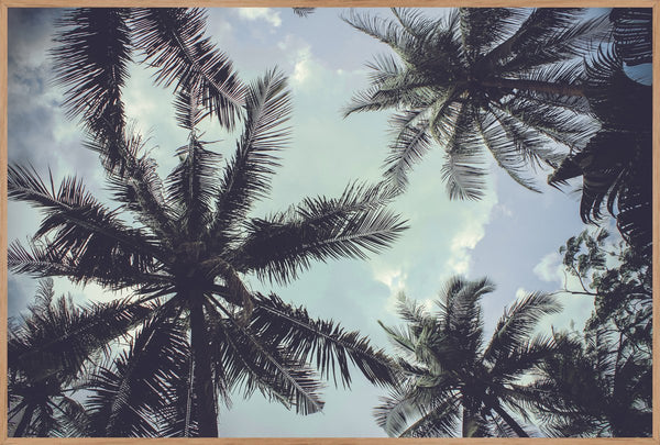 Palm Trees 2 | POSTER BOARD