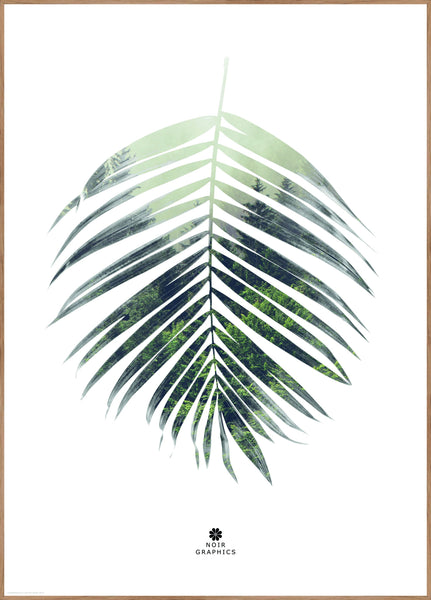 Palm Leaf | Poster board