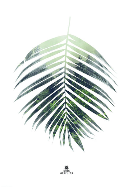 Palm Leaf | Poster board