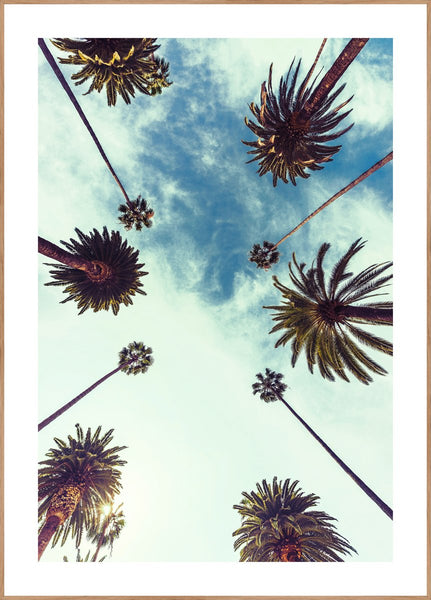 Palm Sky 2 | Poster board