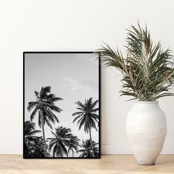 Palms in Gray | Poster board