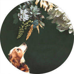 Pet Couture 1 | Circle Art