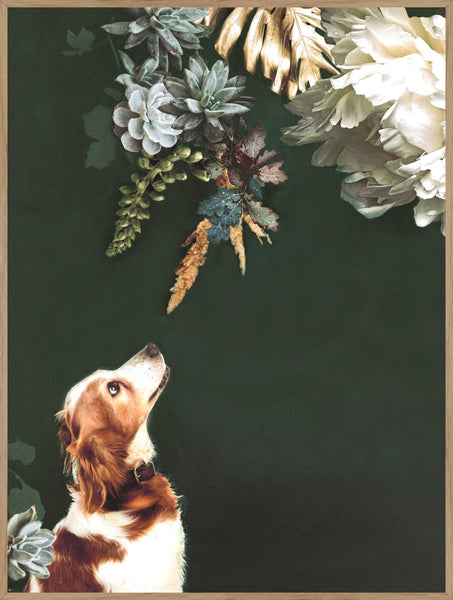 Pet Couture 1 | Poster board