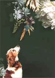 Pet Couture 1 | PLAKAT