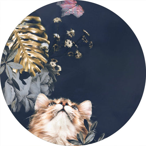 Pet Couture 3 | Circle Art