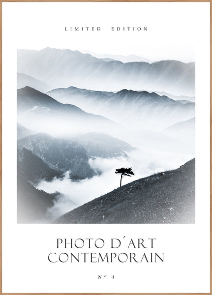 Photo D´Art No 1 | POSTER BOARD