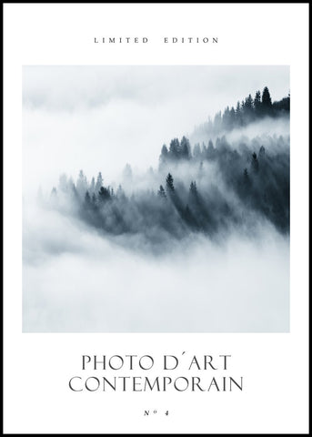 Photo d´Art No 4 | Poster board