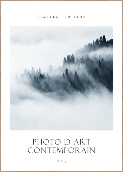 Foto D´art nr. 4 | Poster