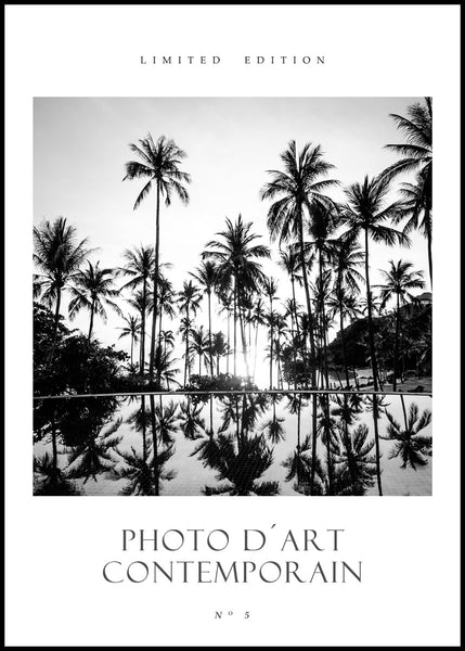 Foto Dart No 5 | Poster