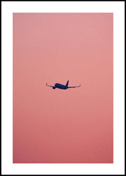 Pink flight | POSTER BOARD