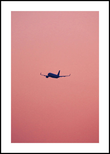 Pink Flight | Poster board