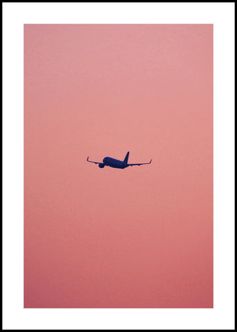 Roze vlucht | Poster