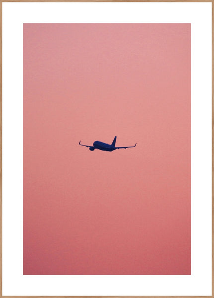 Pink Flight | Poster board