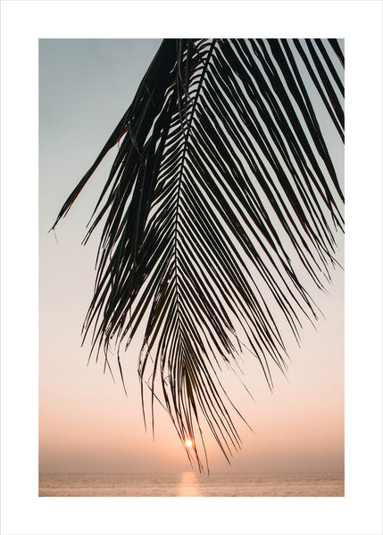 Sunset Leaves | Poster