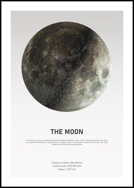 The Moon Light | Poster