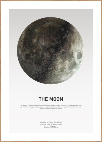 The Moon Light | Poster board