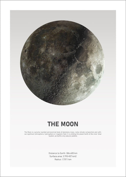 The Moon Light | Poster