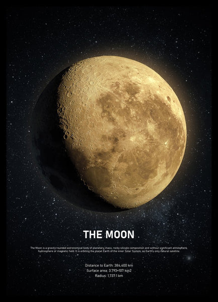 The Moon | Poster