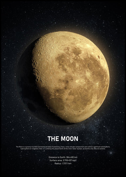 The Moon | Poster board