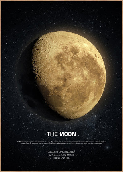 The Moon | Poster board