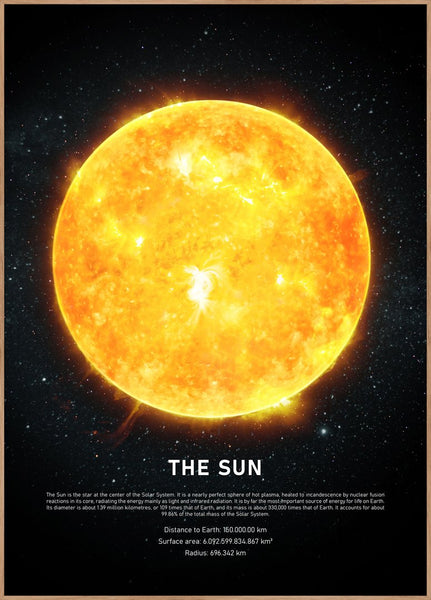 The Sun | Poster board