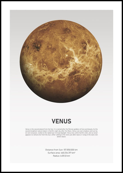 Venus Light | POSTER BOARD