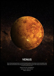 Venus | Plakatbræt