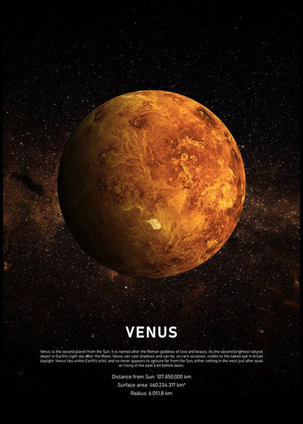 Venus | Poster board