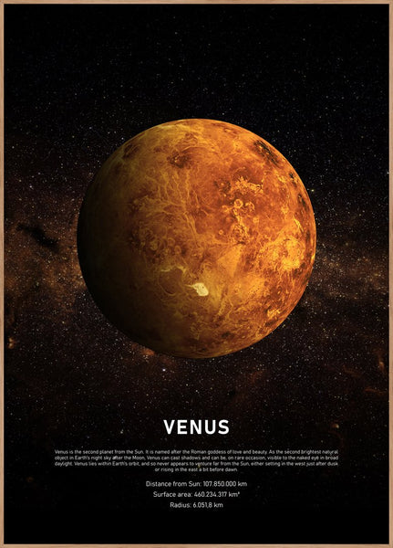 Venus | Plakatbræt