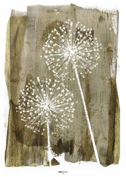 White Dandelion | Poster