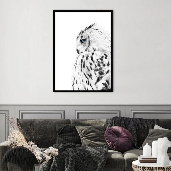 White owl | POSTER