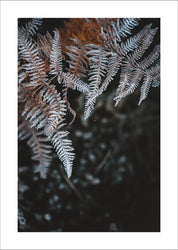 Winter Leaves 2 | Poster