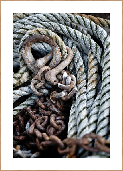 Blue Rope | Poster board