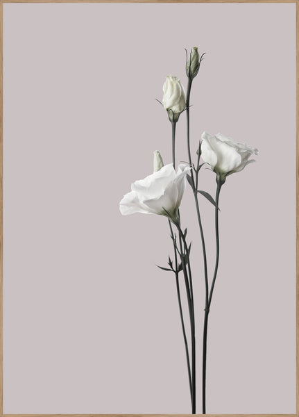 Flower2 | Poster