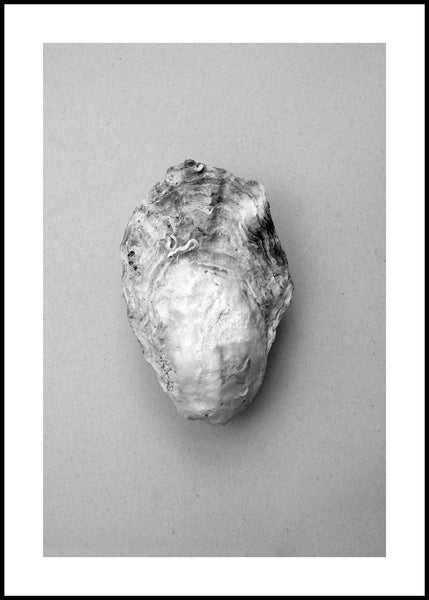 Oyster 1 | POSTER BOARD