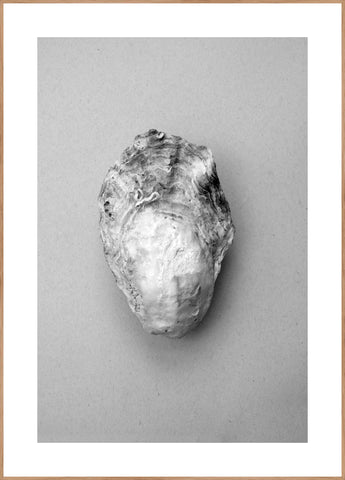 Oyster 1 | Poster board