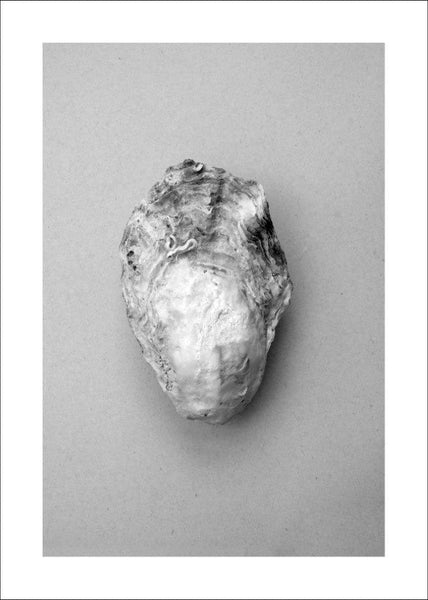 Oyster 1 | PLAKAT