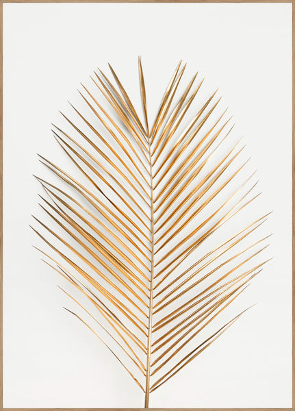 Palm Leaf Gold | Poster board