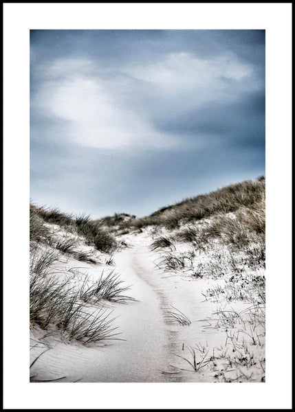 The path | FRAMED PRINT